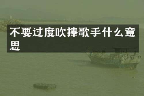不要过度吹捧歌手什么意思