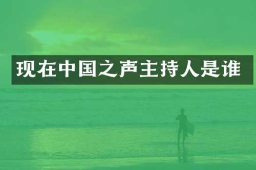 现在中国之声主持人是谁