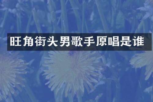 旺角街头男歌手原唱是谁