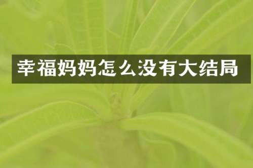 幸福妈妈怎么没有大结局
