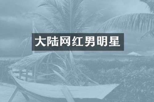 大陆网红男明星