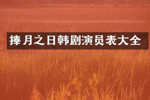 捧月之日韩剧演员表大全