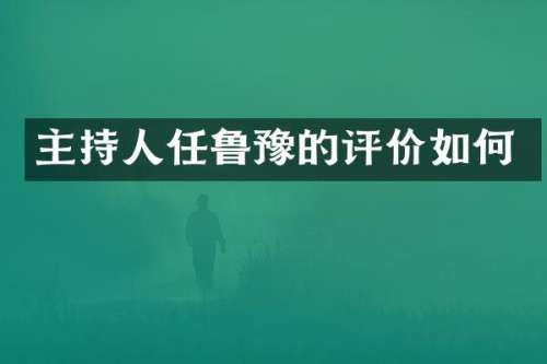 主持人任鲁豫的评价如何