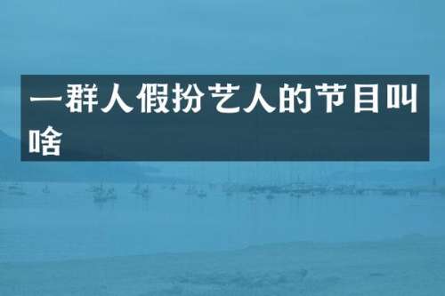 一群人假扮艺人的节目叫啥