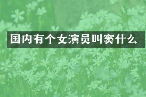 国内有个女演员叫窦什么