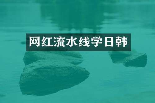 网红流水线学日韩