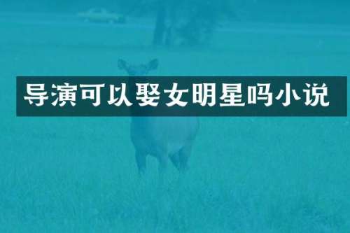 导演可以娶女明星吗小说