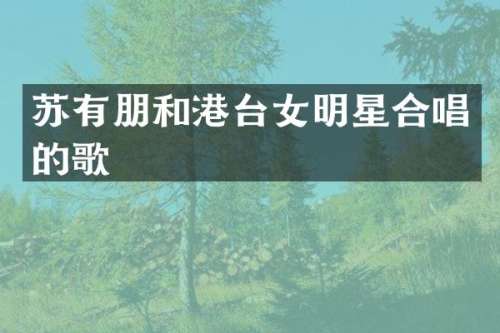 苏有朋和港台女明星合唱的歌