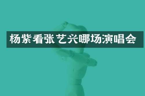 杨紫看张艺兴哪场演唱会