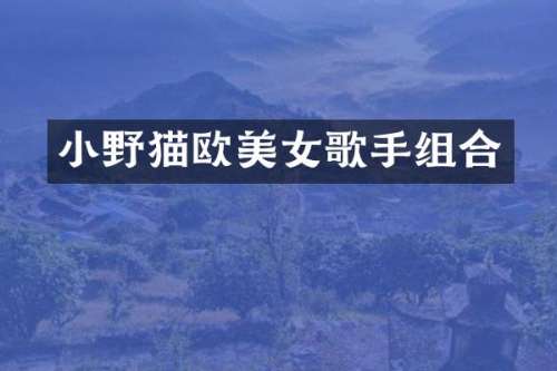 小野猫欧歌手组合