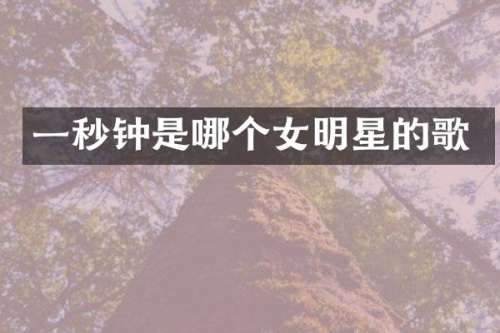 一秒钟是哪个女明星的歌