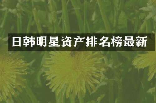 日韩明星资产排名榜最新
