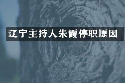 辽宁主持人朱霞停职原因