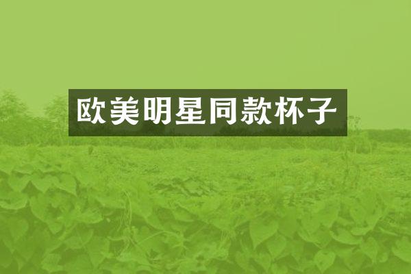 欧美明星同款杯子