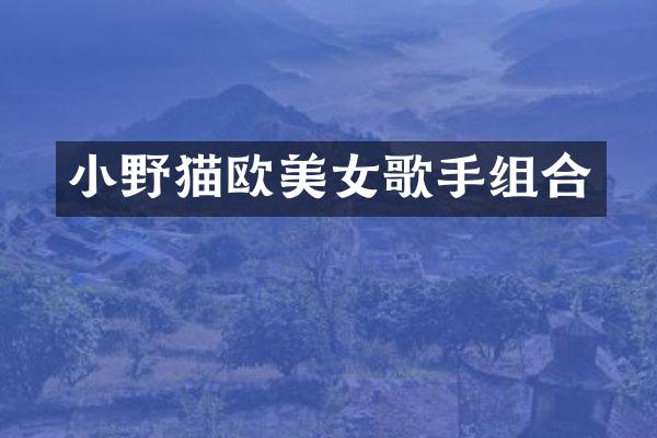 小野猫欧歌手组合