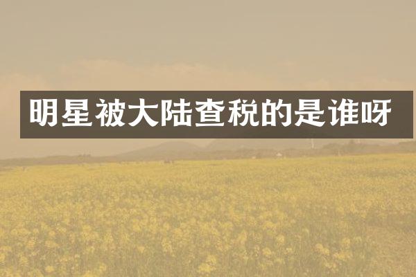 明星被大陆查税的是谁呀