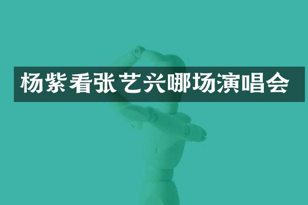 杨紫看张艺兴哪场演唱会