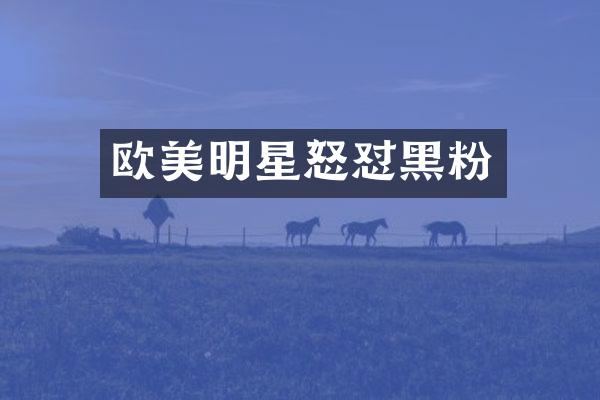 欧美明星怒怼黑粉