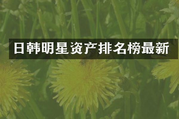 日韩明星资产排名榜最新