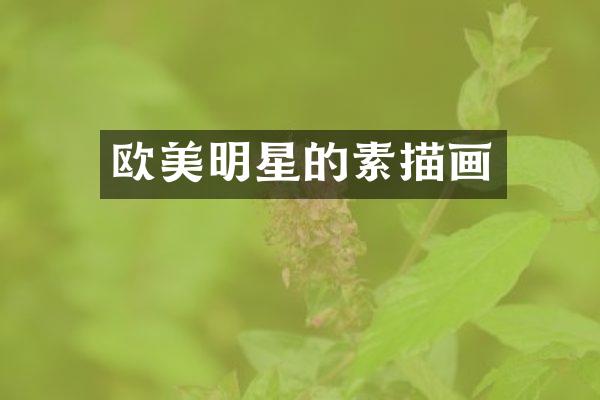 欧美明星的素描画