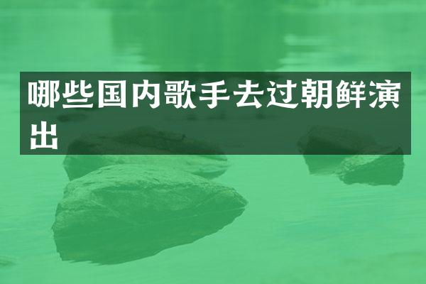 哪些国内歌手去过朝鲜演出