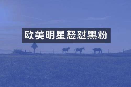 欧美明星怒怼黑粉