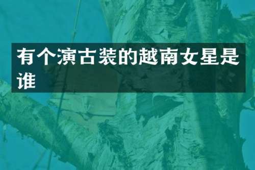 有个演古装的越南女星是谁