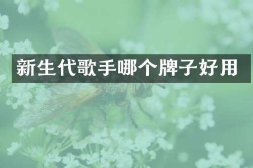新生代歌手哪个牌子好用