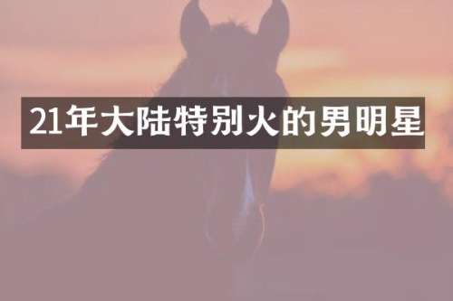 21年大陆特别火的男明星