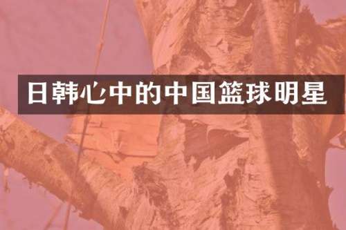 日韩心中的中国篮球明星