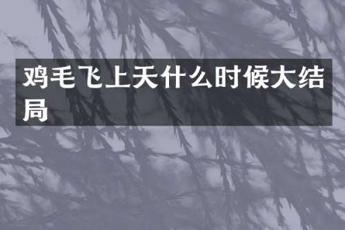鸡毛飞上天什么时候大结局