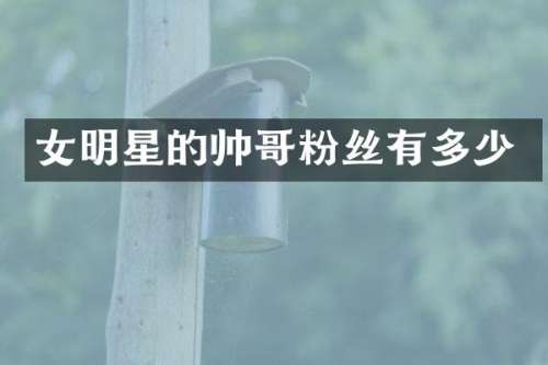 女明星的帅哥粉丝有多少