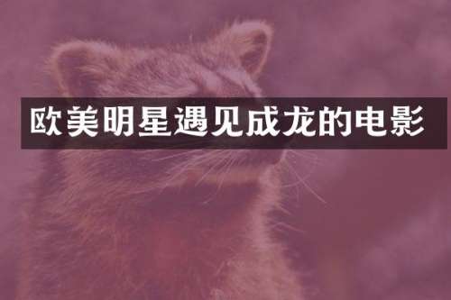 欧美明星遇见成龙的电影