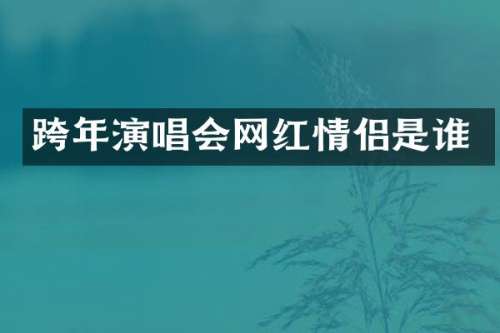 跨年演唱会网红情侣是谁