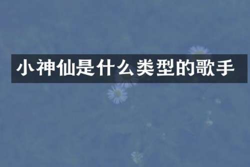 小神仙是什么类型的歌手