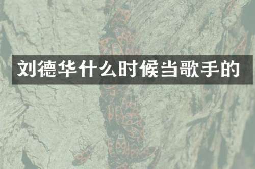 刘德华什么时候当歌手的