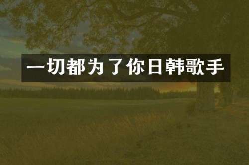 一切都为了你日韩歌手
