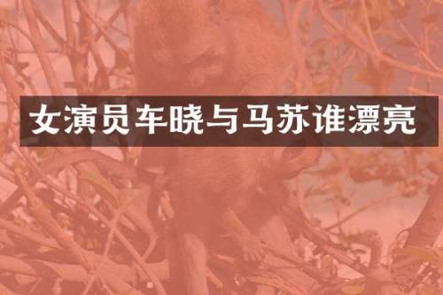 女演员车晓与马苏谁漂亮
