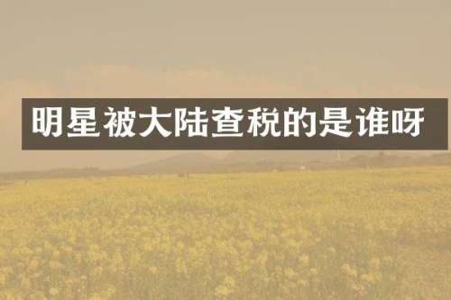 明星被大陆查税的是谁呀