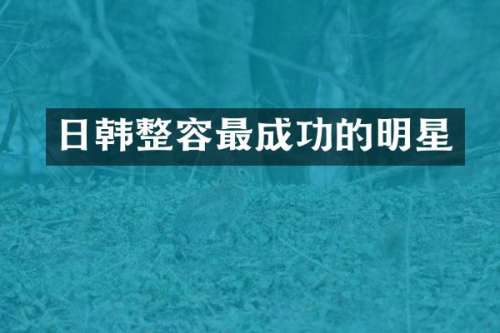 日韩整容最成功的明星