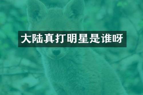大陆真打明星是谁呀
