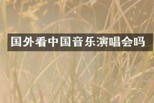 国外看中国音乐演唱会吗