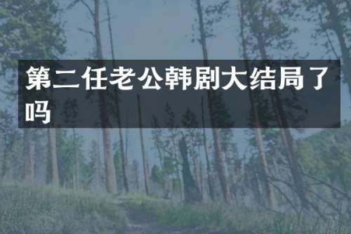 第二任老公韩剧大结局了吗