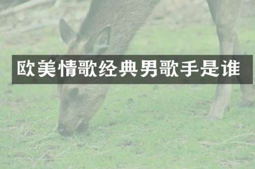 欧美情歌经典男歌手是谁
