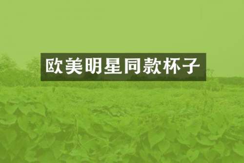 欧美明星同款杯子