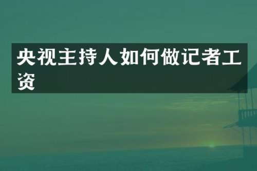 央视主持人如何做记者工资