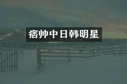 痞帅中日韩明星