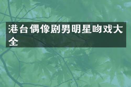 港台偶像剧男明星大全