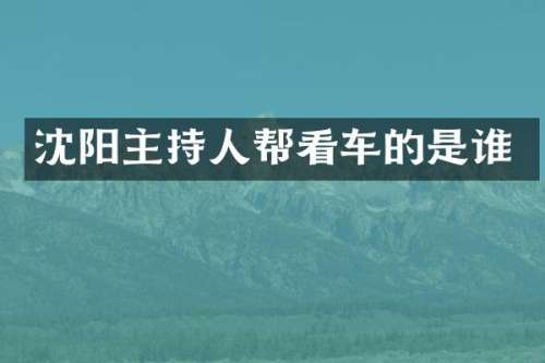 沈阳主持人帮看车的是谁