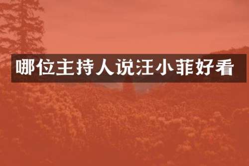 哪位主持人说汪小菲好看